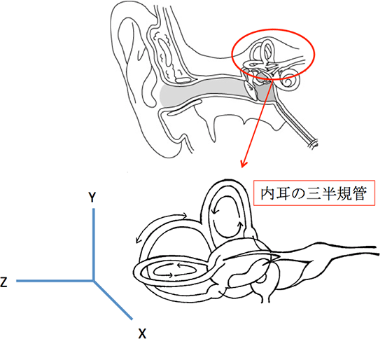 良性 発作 性 頭 位 めまい 症 原因 ストレス